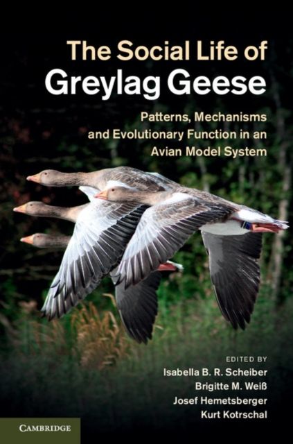 Produktbild: The Social Life of Greylag Geese