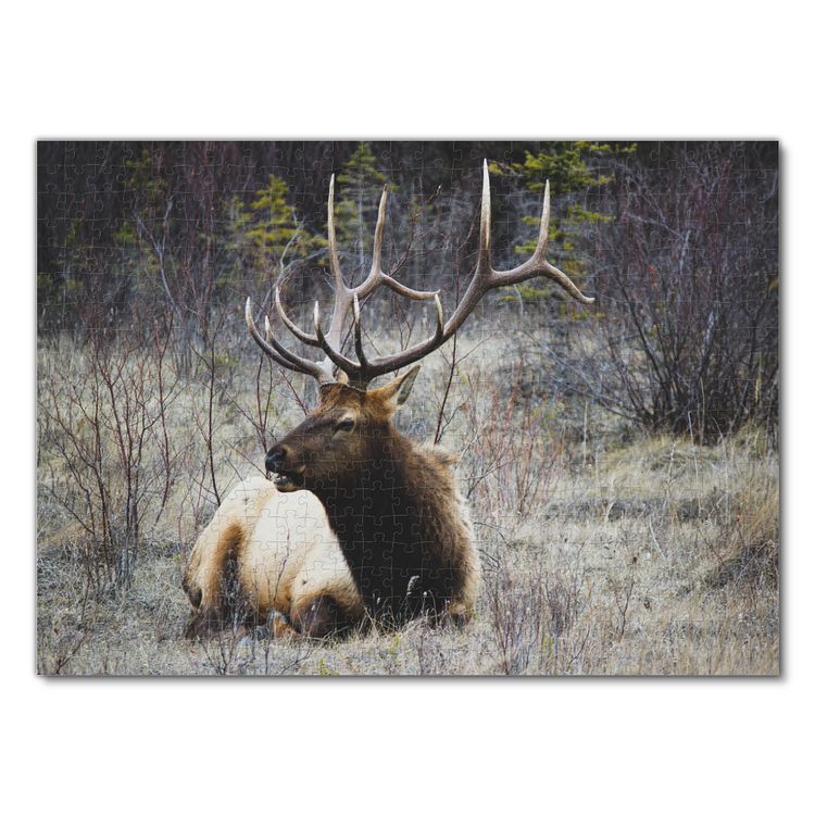 Produktbild: Lais Puzzle Hirsch 500 Teile
