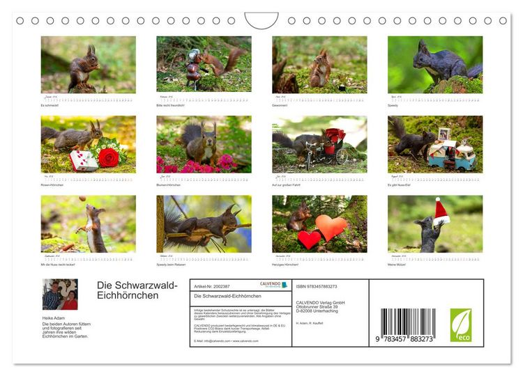 Produktbild: Die Schwarzwald-Eichh&ouml;rnchen (Wandkalender 2026 DIN A4 quer), CALVENDO Monatskalender