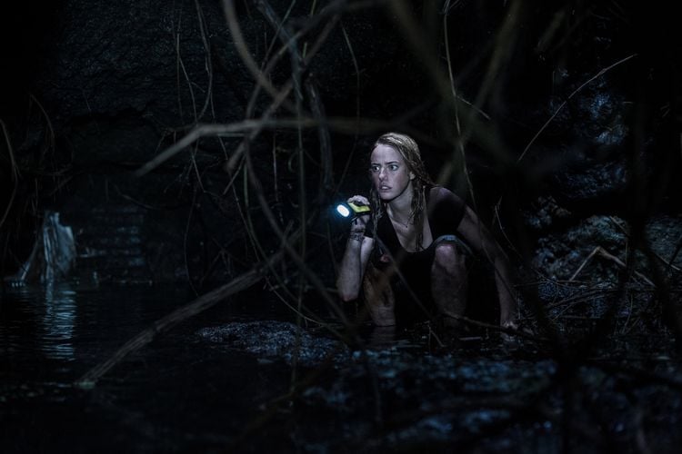 Produktbild: Crawl