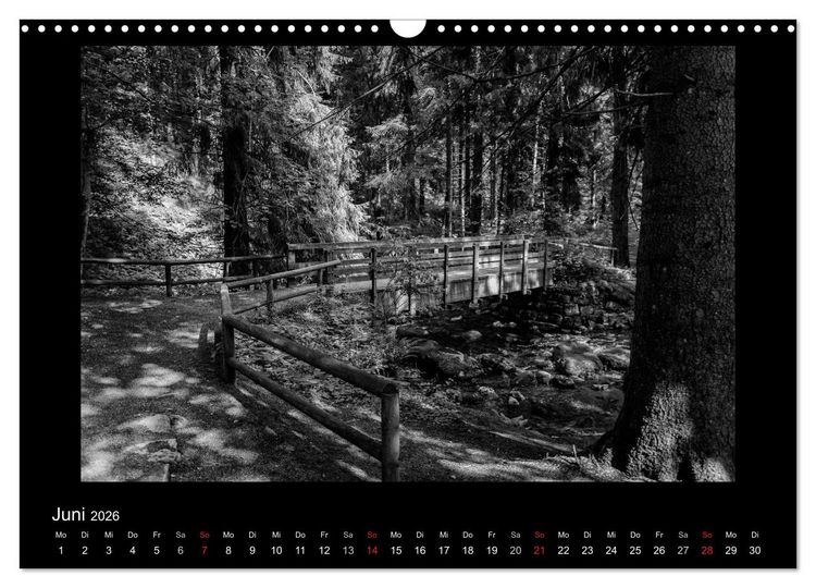 Produktbild: Harz-Bilder in monochrome (Wandkalender 2026 DIN A3 quer), CALVENDO Monatskalender