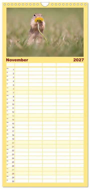 Produktbild: Familienplaner 2027 - Zauberhafte Ziesel mit 5 Spalten (Wandkalender, 21 x 45 cm) CALVENDO