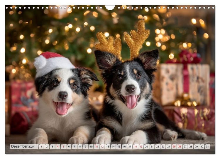 Produktbild: Border Collie - Magische Augenblicke (Wandkalender 2027 DIN A3 quer), CALVENDO Monatskalender