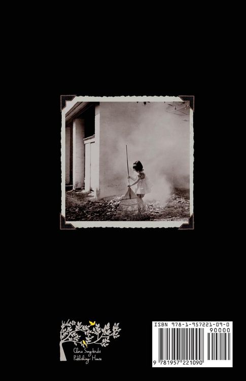 Produktbild: Certain Silences