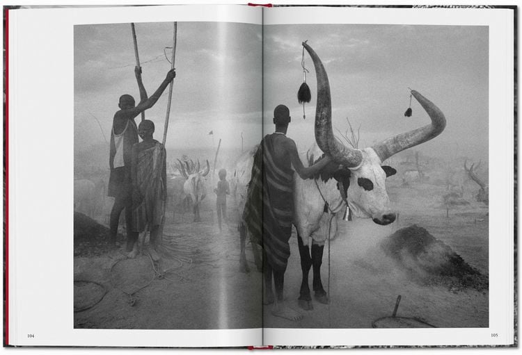 Produktbild: Sebasti&atilde;o Salgado