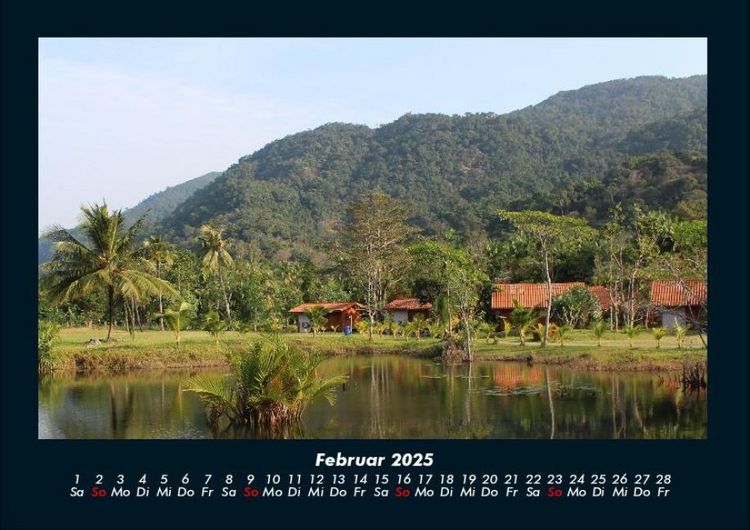 Produktbild: Pflanzen und Bl&uuml;ten 2025 Fotokalender DIN A4