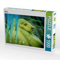 Produktbild: CALVENDO Puzzle Python 1000 Teile Lege-Gr&ouml;&szlig;e 64 x 48 cm Foto-Puzzle Bild von Liselotte Brunner-Klaus