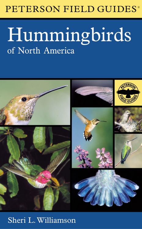Produktbild: Hummingbirds of North America