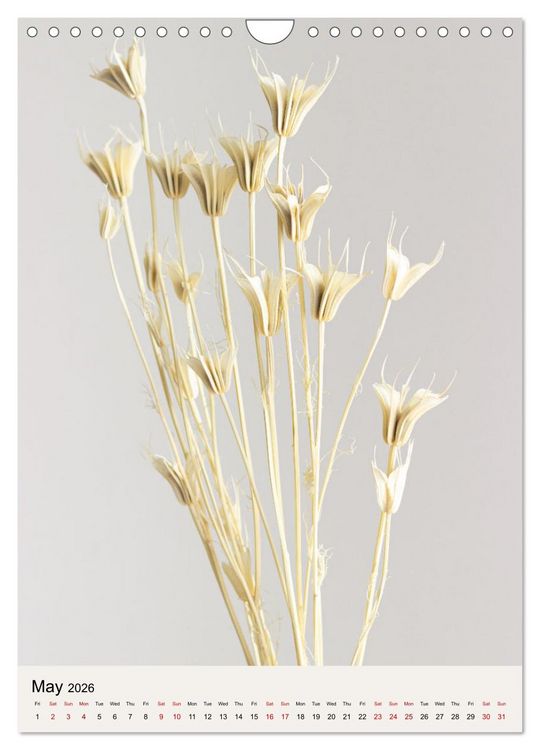 Produktbild: Dried Flowers (Wall Calendar 2026 DIN A4 portrait), CALVENDO 12 Month Wall Calendar
