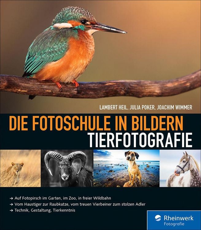 Produktbild: Die Fotoschule in Bildern. Tierfotografie