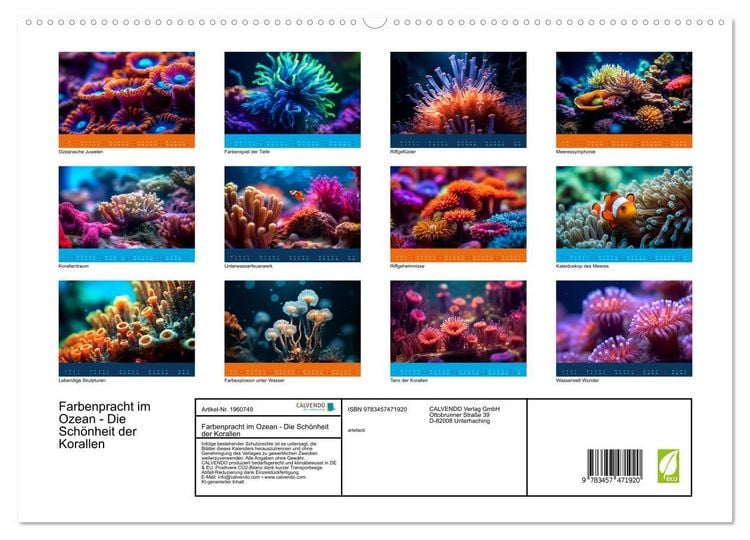 Produktbild: Farbenpracht im Ozean - Die Sch&ouml;nheit der Korallen (hochwertiger Premium Wandkalender 2026 DIN A2 quer), Kunstdruck in Hochglanz
