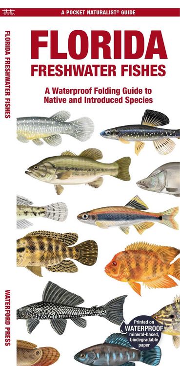 Produktbild: Florida Freshwater Fishes