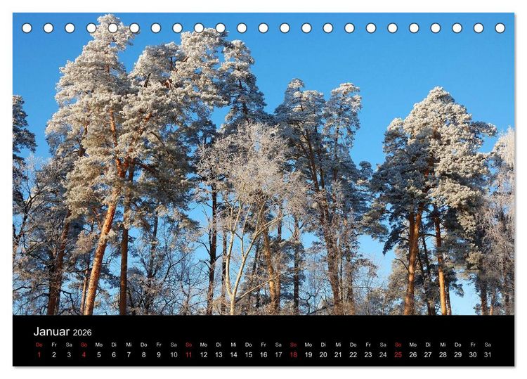Produktbild: Jahreszeiten / 2026 (Tischkalender 2026 DIN A5 quer), CALVENDO Monatskalender