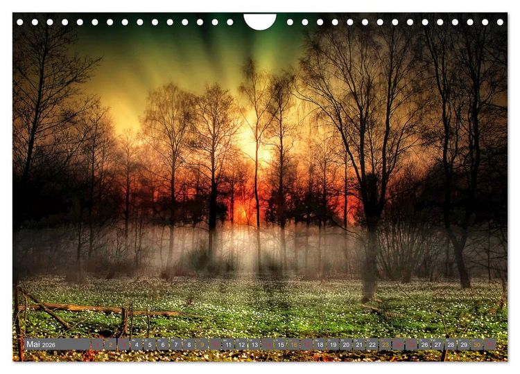 Produktbild: Friesland, verzauberte Landschaft an der Nordsee (Wandkalender 2026 DIN A4 quer), CALVENDO Monatskalender