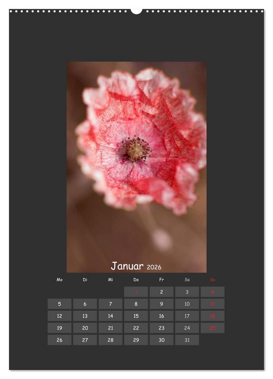 Produktbild: Mohn (hochwertiger Premium Wandkalender 2026 DIN A2 hoch), Kunstdruck in Hochglanz