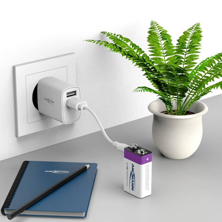 Produktbild: Ansmann E-Block USB-C USB-C&reg; Akku Li-Ion 400 mAh 9V 1St.