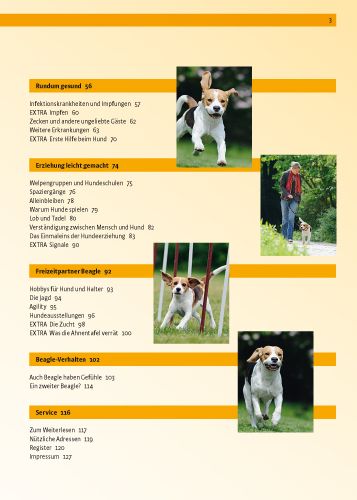 Produktbild: Beagle