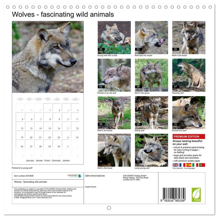 Produktbild: Wolves - fascinating wild animals (Wall Calendar 2026 12 &times; 12 Inch) CALVENDO 12 Month Wall Calendar