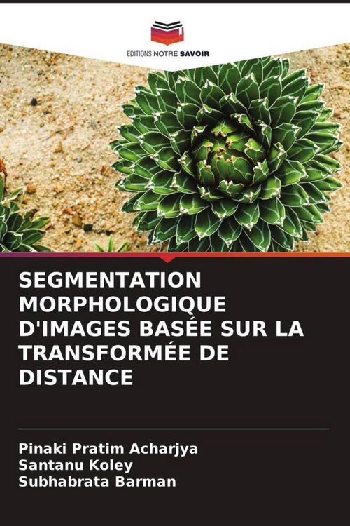 Produktbild: SEGMENTATION MORPHOLOGIQUE D'IMAGES BAS&Eacute;E SUR LA TRANSFORM&Eacute;E DE DISTANCE