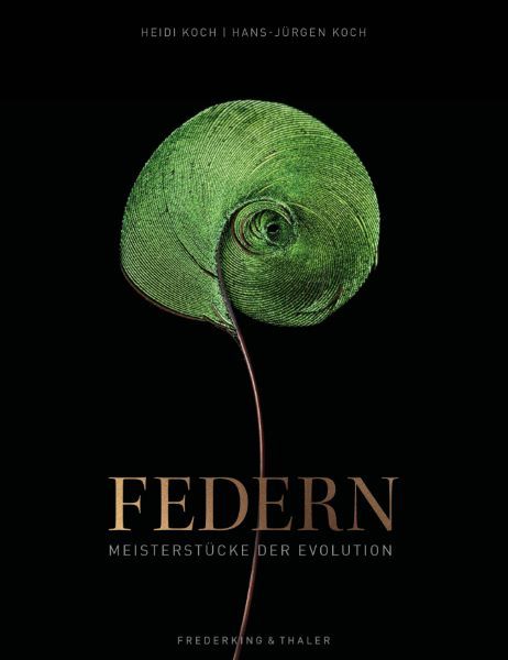 Produktbild: Federn