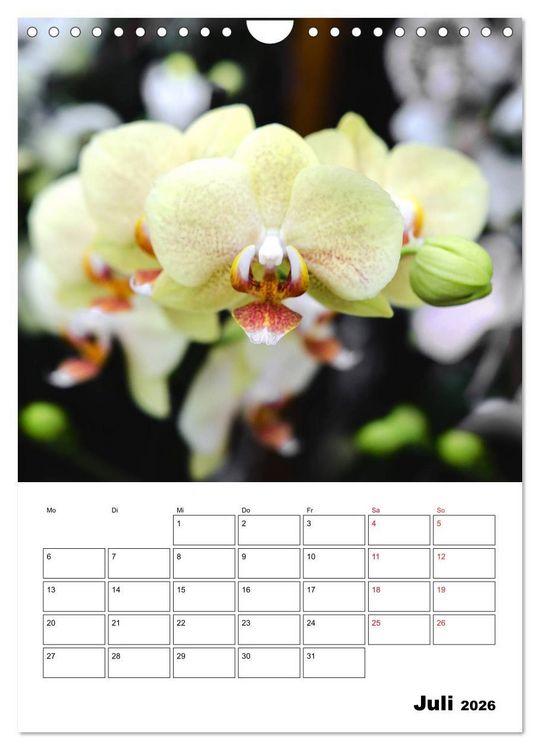 Produktbild: Orchideen - Tropische Sch&ouml;nheiten (Wandkalender 2026 DIN A4 hoch), CALVENDO Monatskalender