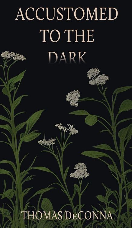 Produktbild: Accustomed to the Dark