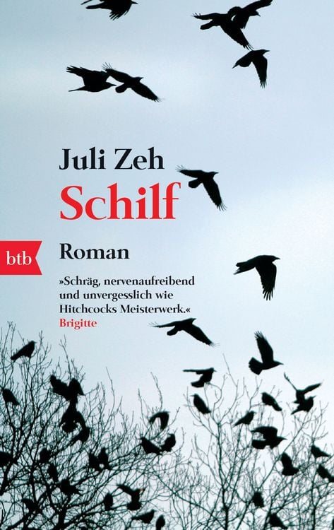 Produktbild: Schilf