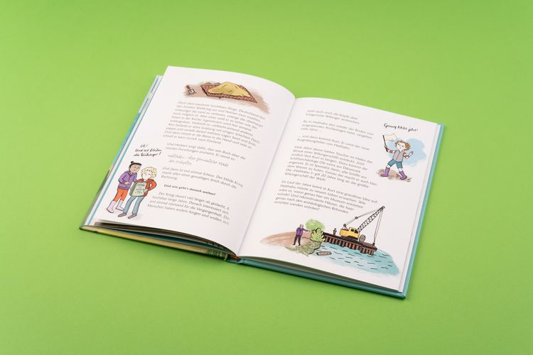 Produktbild: Wilde Wikinger in Sicht