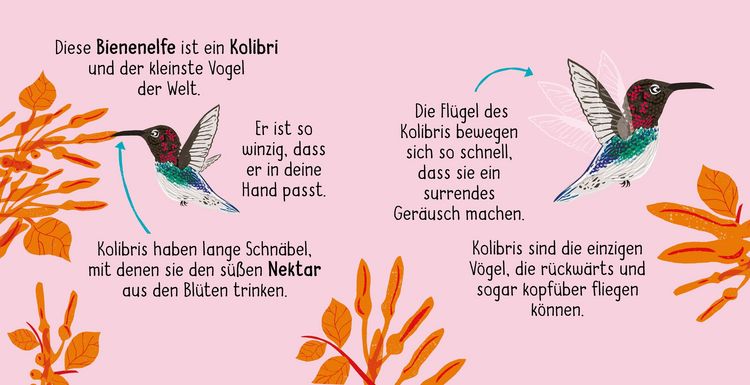 Produktbild: 50 W&ouml;rter &uuml;ber die Natur - V&ouml;gel