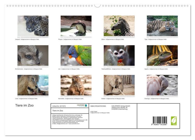 Produktbild: Tiere im Zoo (hochwertiger Premium Wandkalender 2026 DIN A2 quer), Kunstdruck in Hochglanz