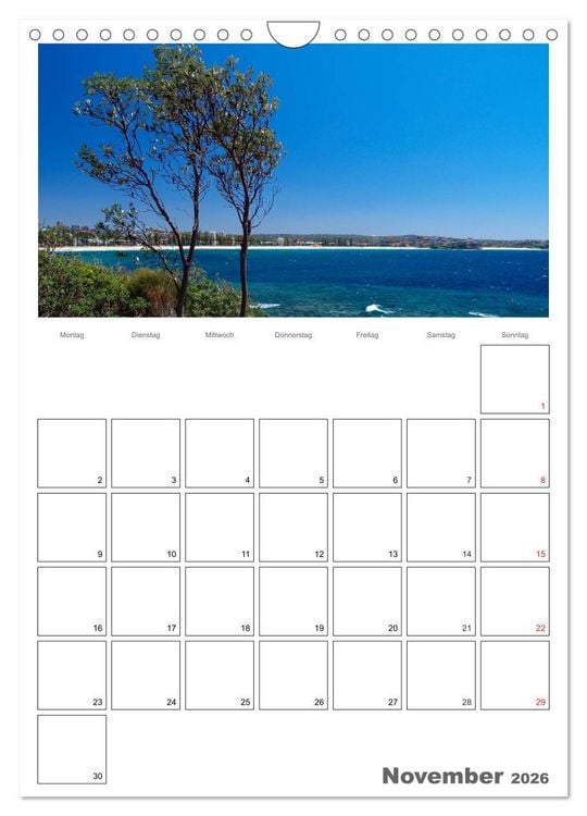 Produktbild: SYDNEY Terminplaner (Wandkalender 2026 DIN A4 hoch), CALVENDO Monatskalender