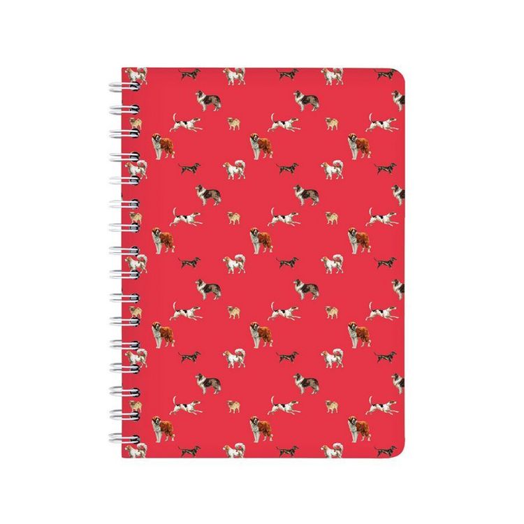 Produktbild: Ringbuch A5 Bello
