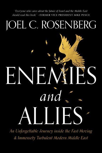 Produktbild: Enemies and Allies