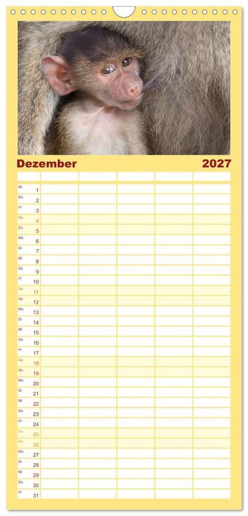 Produktbild: Familienplaner 2027 - Wildes Kinderzimmer - Tierkinder in Afrika mit 5 Spalten (Wandkalender, 21 x 45 cm) CALVENDO