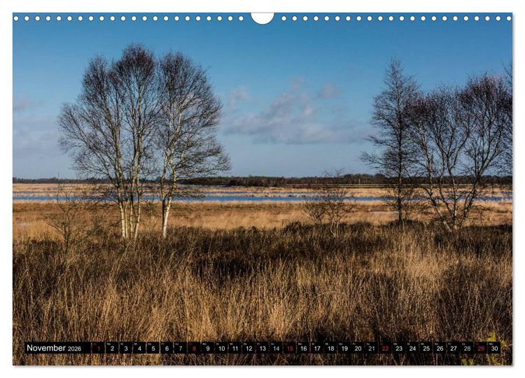 Produktbild: Worpswede - K&uuml;nstlerdorf unter weitem Himmel (Wandkalender 2026 DIN A3 quer), CALVENDO Monatskalender