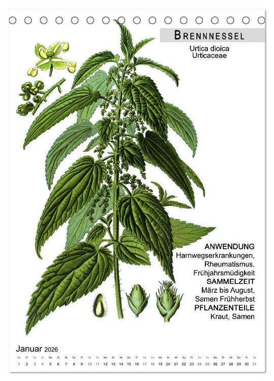 Produktbild: Heilpflanzen (Tischkalender 2026 DIN A5 hoch), CALVENDO Monatskalender
