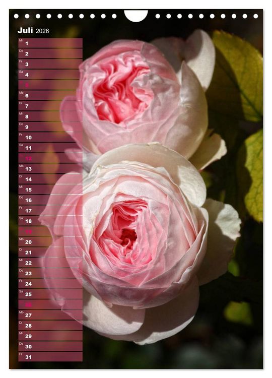 Produktbild: Rosen f&uuml;r DICH / Geburtstagskalender (Wandkalender 2026 DIN A4 hoch), CALVENDO Monatskalender