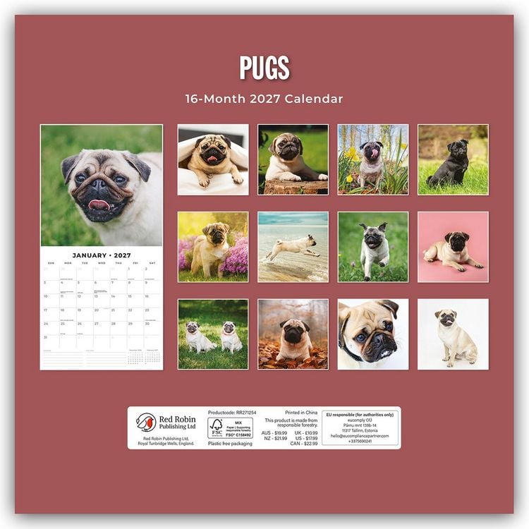 Produktbild: Pugs &ndash; Mops 2027 &ndash; 16-Monatskalender
