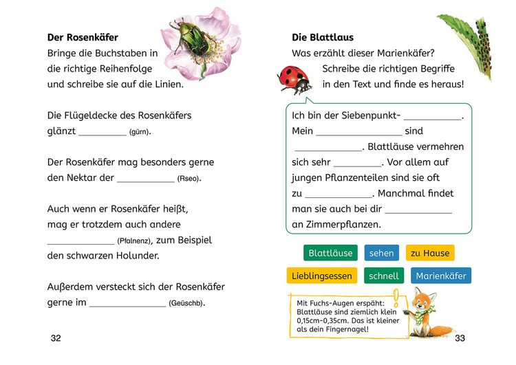 Produktbild: Lesen lernen mit Naturr&auml;tseln, B&uuml;cherhelden 2. Klasse, Insekten & Spinnen