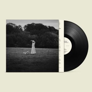 Produktbild: On The Wing (Ltd. LP)