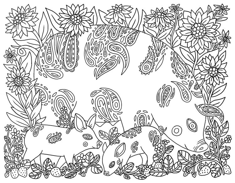 Produktbild: Country Life Coloring Book
