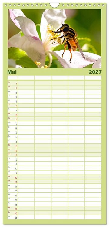 Produktbild: Familienplaner 2027 - INSEKTEN - Makrofotografie in freier Natur mit 5 Spalten (Wandkalender, 21 x 45 cm) CALVENDO