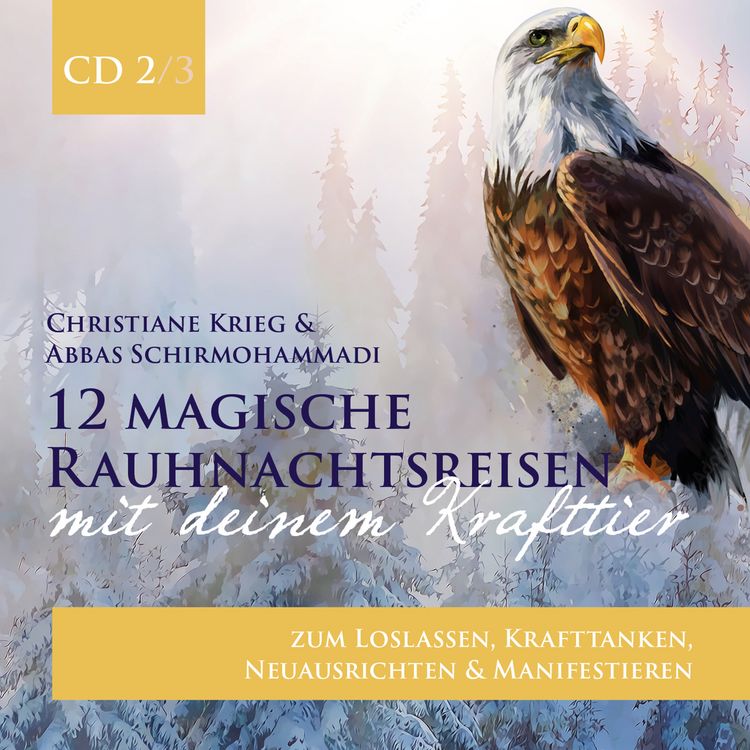 Produktbild: 12 magische Rauhnachtsreisen mit deinem Krafttier -CD 2-