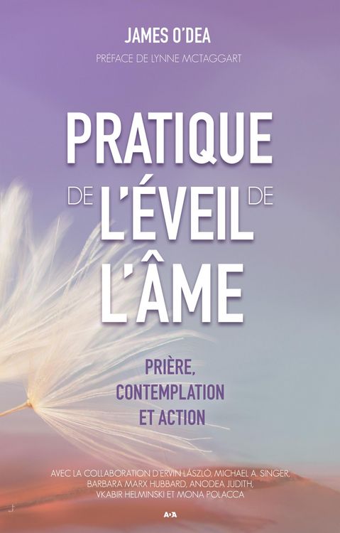 Produktbild: Pratique de l'eveil de l'ame