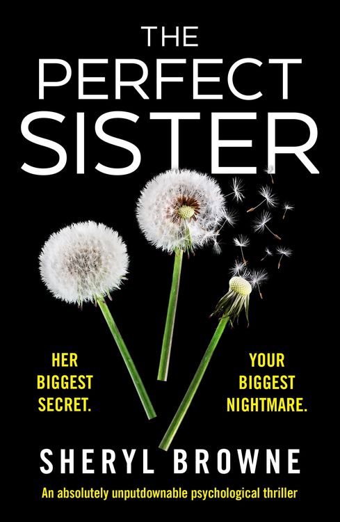 Produktbild: The Perfect Sister