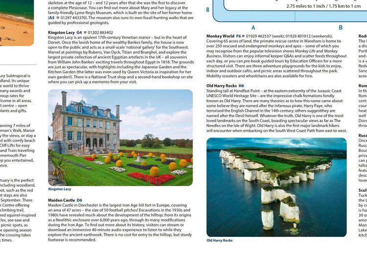 Produktbild: Dorset Pocket Map