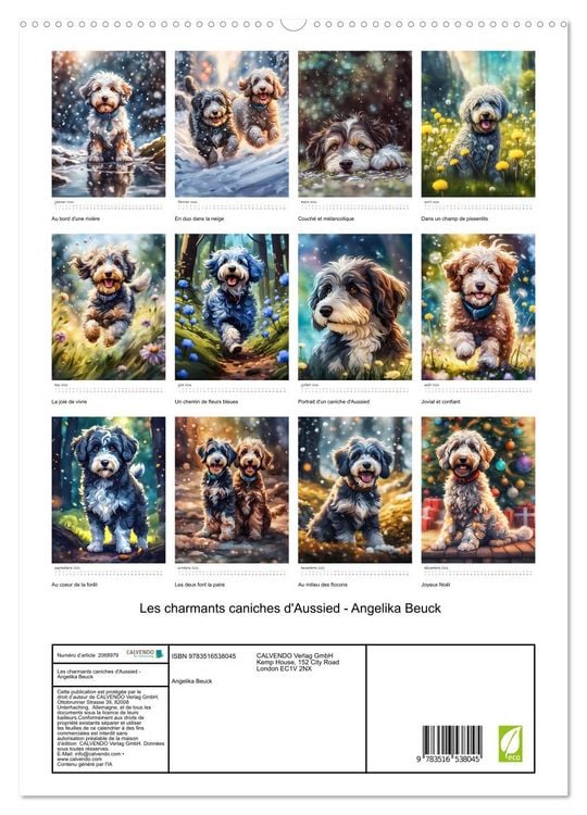 Produktbild: Les charmants caniches d'Aussied - Angelika Beuck (Calendrier mural 2026 DIN A2 horizontal) calendrier de bureau