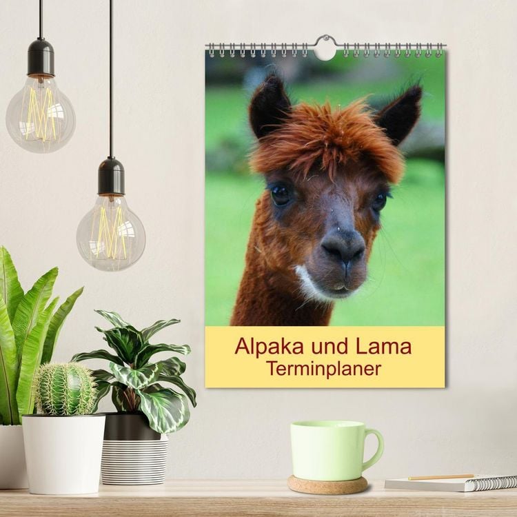 Produktbild: Alpaka und Lama Terminplaner (Wandkalender 2026 DIN A4 hoch), CALVENDO Monatskalender
