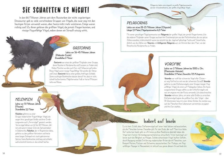 Produktbild: Vom Tyrannosaurus zum Huhn