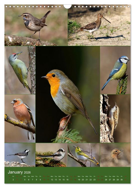 Produktbild: 78 Birds (Wall Calendar 2026 DIN A3 portrait), CALVENDO 12 Month Wall Calendar